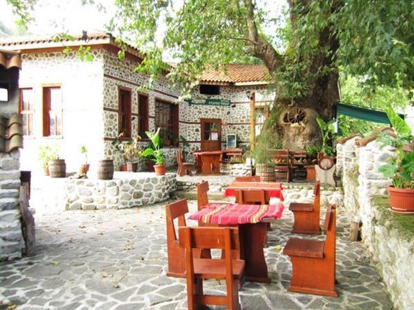Комплекс Стария Чинар Melnik (Blagoevgrad) Zewnętrze zdjęcie