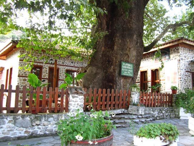 Комплекс Стария Чинар Melnik (Blagoevgrad) Zewnętrze zdjęcie