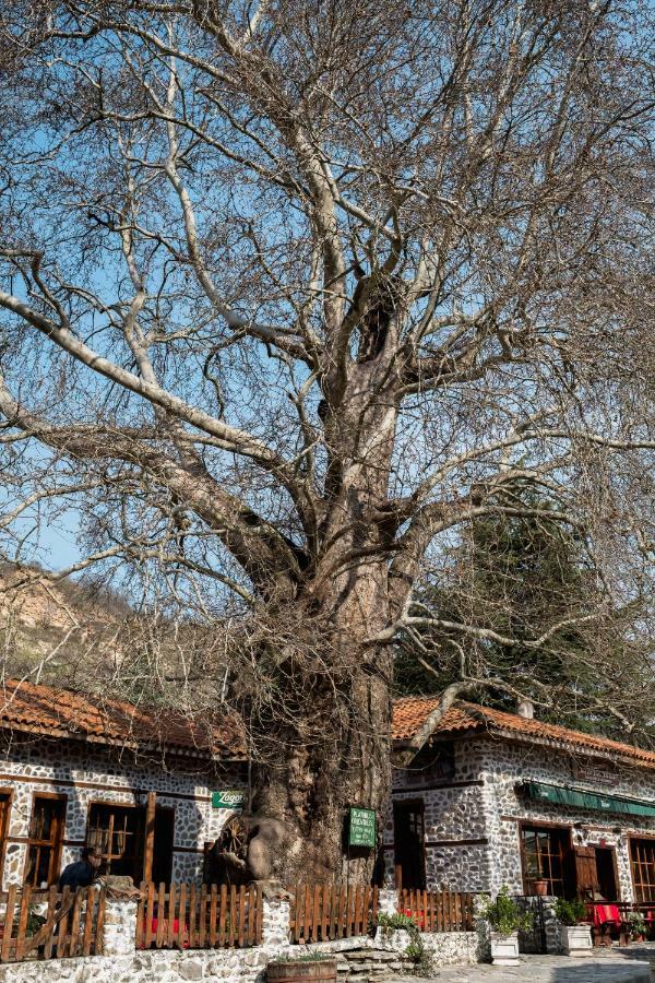 Комплекс Стария Чинар Melnik (Blagoevgrad) Zewnętrze zdjęcie