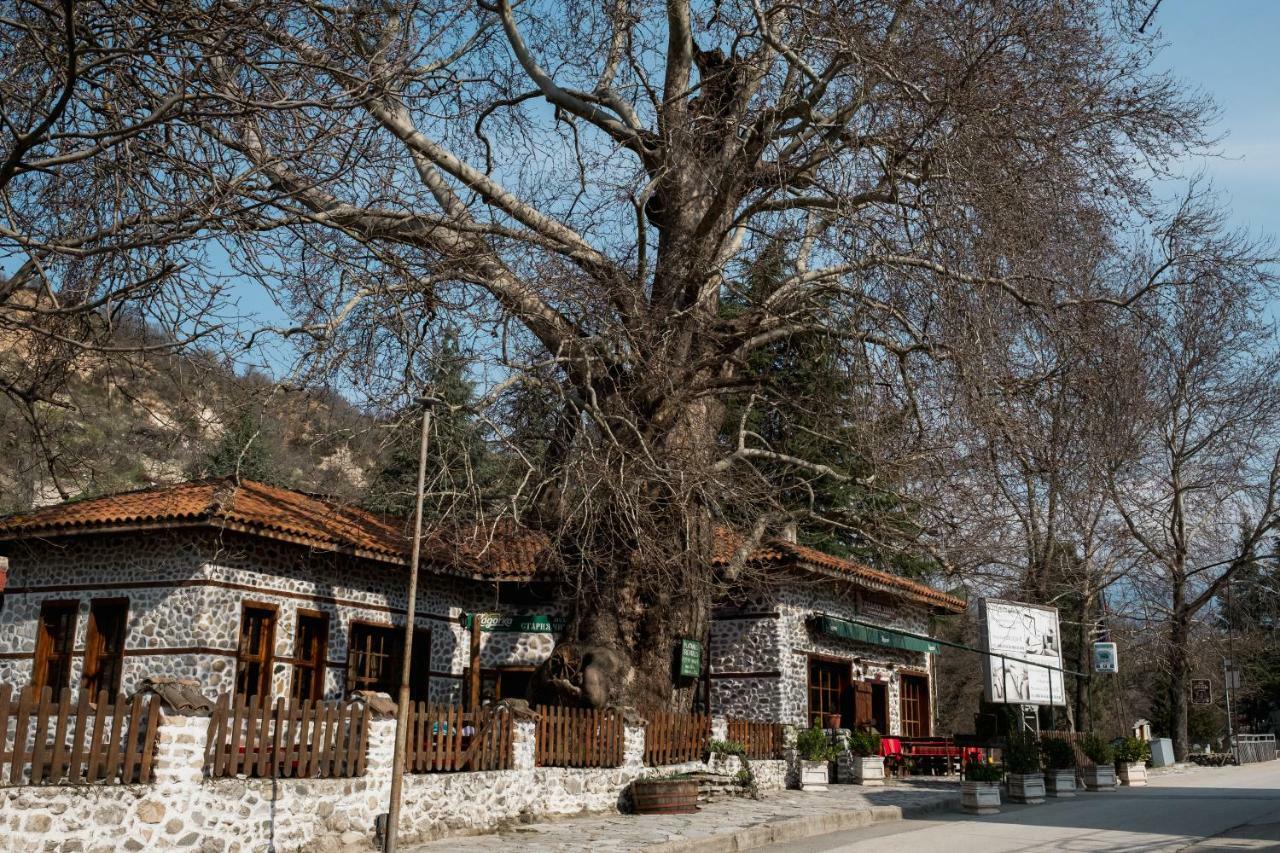 Комплекс Стария Чинар Melnik (Blagoevgrad) Zewnętrze zdjęcie